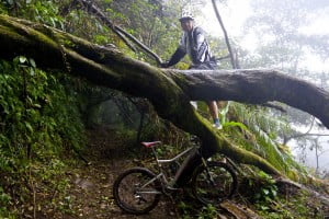 Thick vegetation on Jalur NuRa makes it not for the faint-hearted.