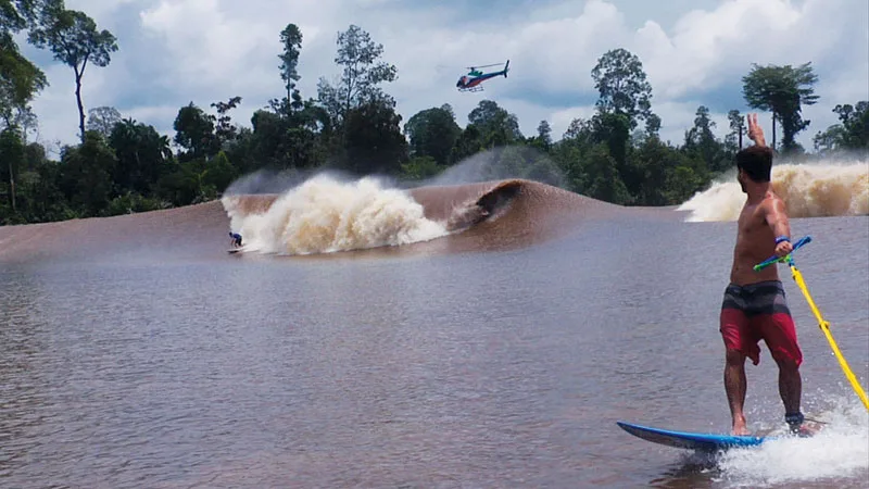 The Perfect Photo by Lachlan McKinnon
