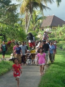 Nyepi ceremonial