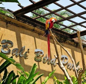 Bali Bird Park