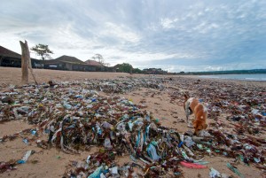Plastic Pollution at Jimbaran