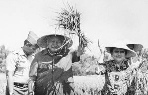 Soeharto picks rice