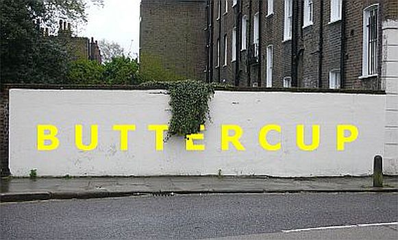 Buttercup, a re-imagining