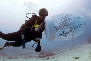 Underwater Cleanup
