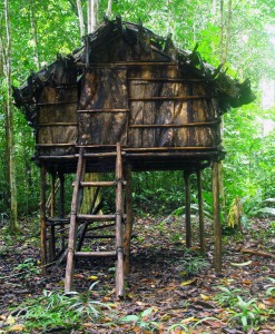 Replica House of Alfred Wallace