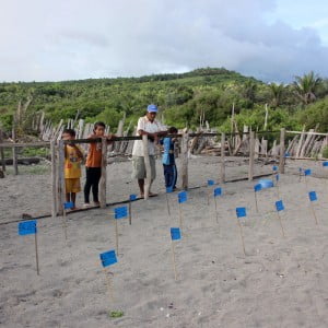 Kampung Penyu