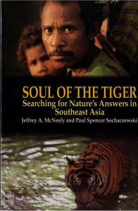 Soul Of The Tiger