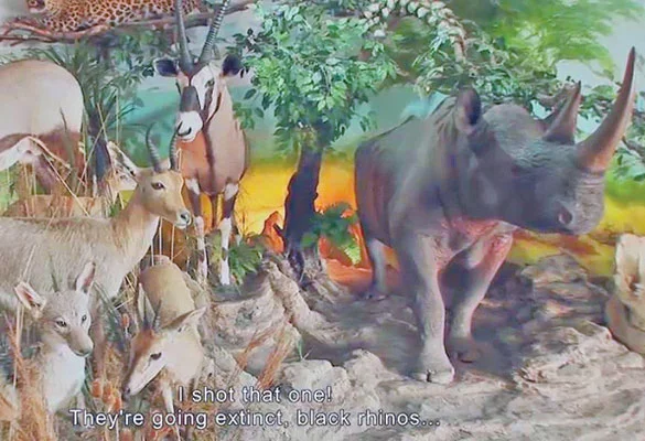 This is an Ex-Tortoise & Other Abused Animals