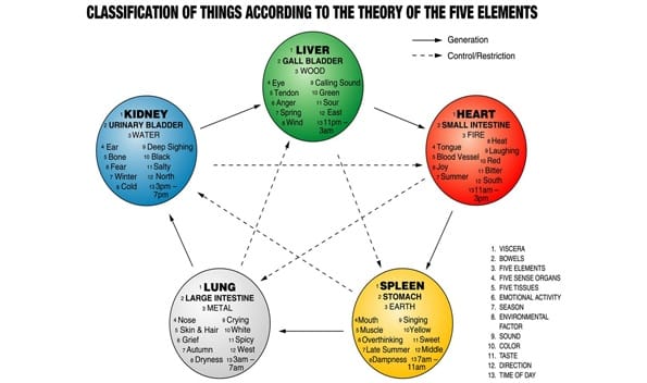 The Physical and Emotional Connections of the Five Vital Organs