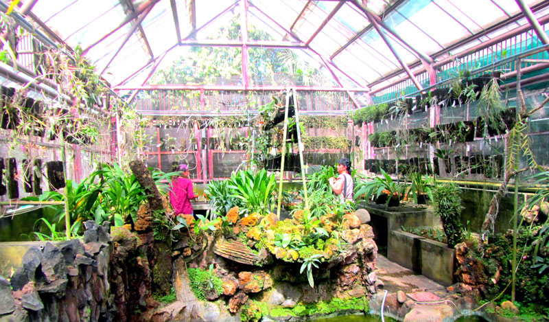 Glasshouse at Purwodadi Botanical Garden