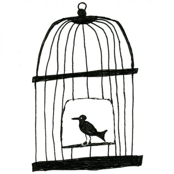 Bird In Cage