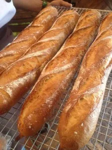 Animo - Hot French Baguettes