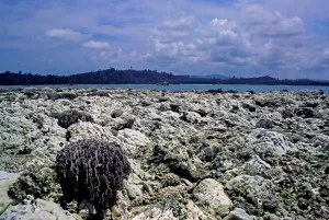 Simeulue Island Simeulue Island after the 20014 tsunami. Photographs by Francesco Ricciardi