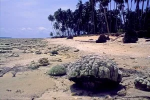 Simeulue Island Simeulue Island after the 20014 tsunami. Photographs by Francesco Ricciardi