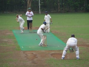 Members playing cricket