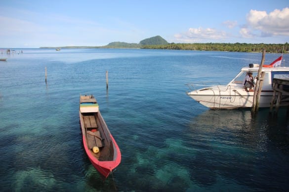 View of Mt Bonfar and Coral Reefs from Balal village, Kofiau island | Photo Courtesy of Grace Susetyo