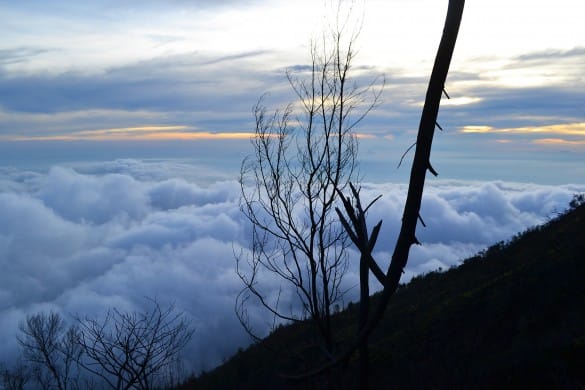 The View of Mount Lawu