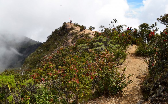 Mount Lawu's trail
