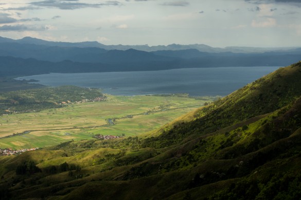 Wild Sumatra | Photo by Luke Mackin