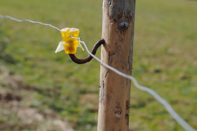 electric-fence