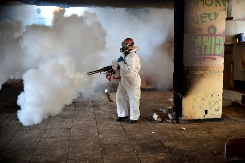 Zika virus
