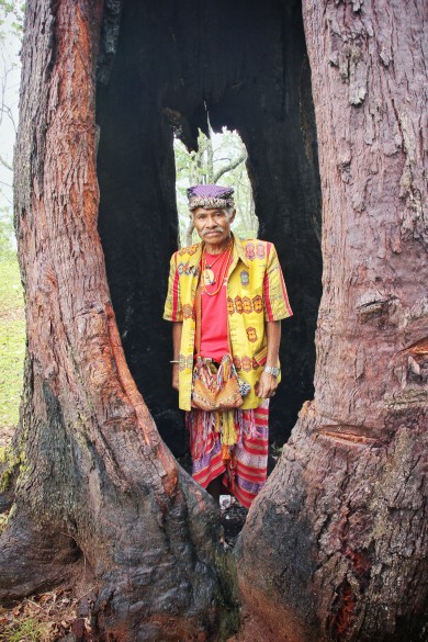 Matheos Anin in the Sacred Forest