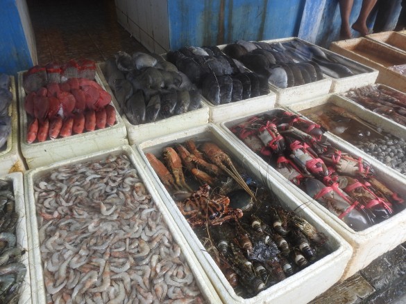 Fish market