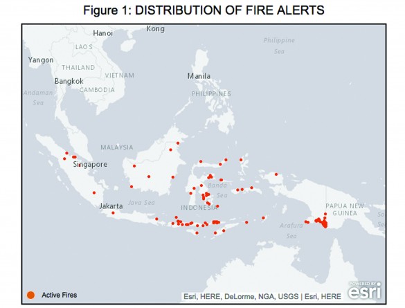 In the space of seven days, Indonesia received 174 fire alerts, 42 percent occurring on indicative moratorium areas. Courtesy of Global Forest Watch.