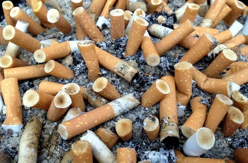 how much do cigarettes cost in albania 10 x Albania Panorama Collection Limited Edition 20 Cigarillos Sumatra 100%  Tobacco