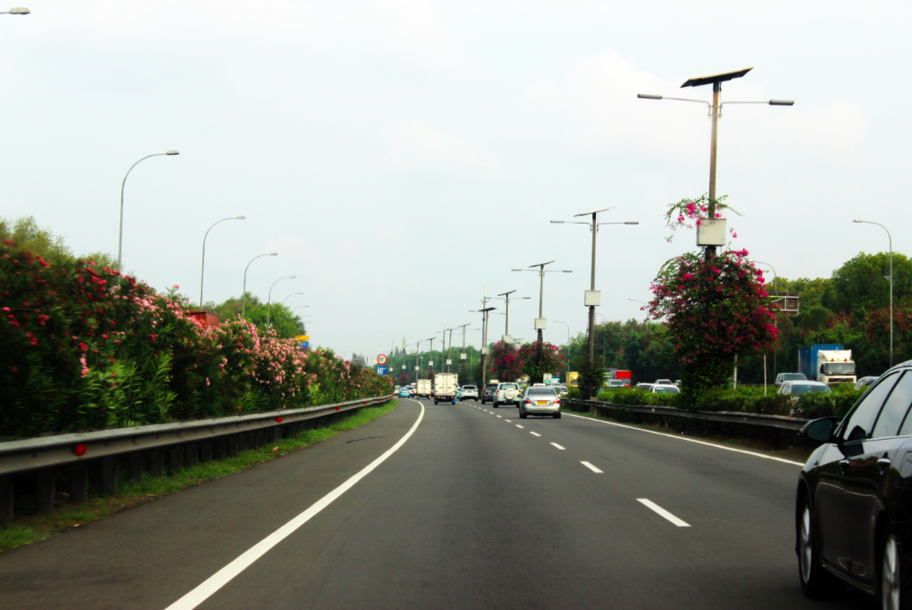 Integrated Healthcare Indonesia Jakarta Selatan Alamat Direktur