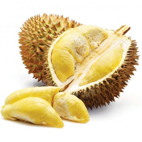 facts Durian