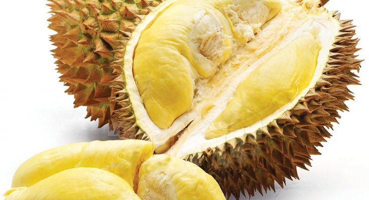 durian