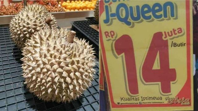 j queen durian