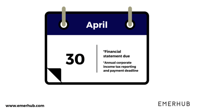 2019 Guide To Filing The Annual Financial Statement In Indonesia 