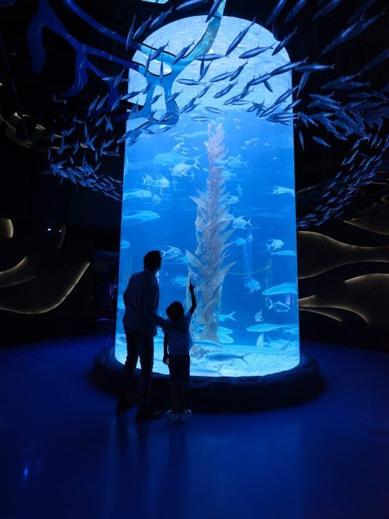 Jakarta Aquarium: The First Indoor Animal Conservation Centre in