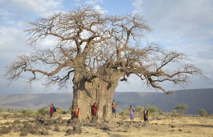 Arusha, Tanzania, 7th September 2019: Beautiful Maasai Women In