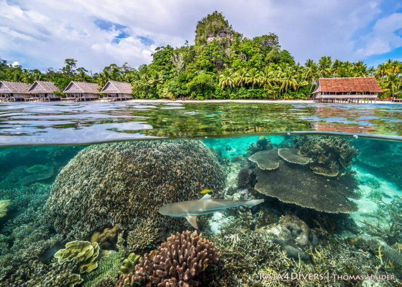 Raja Ampat