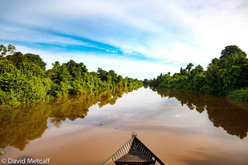 river cruise Borneo 