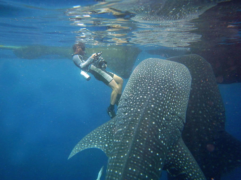 Cenderawasih Bay National Park, Papua