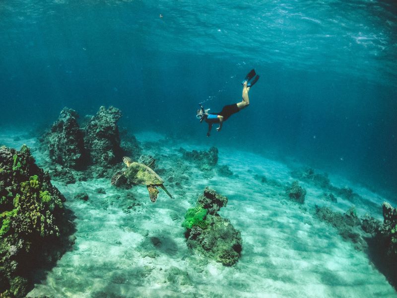 Dive into the depths of Gili Islands waters