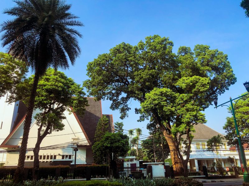 Morning stroll at Menteng