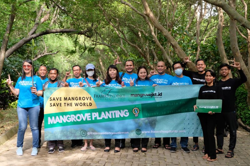 mangrove planting