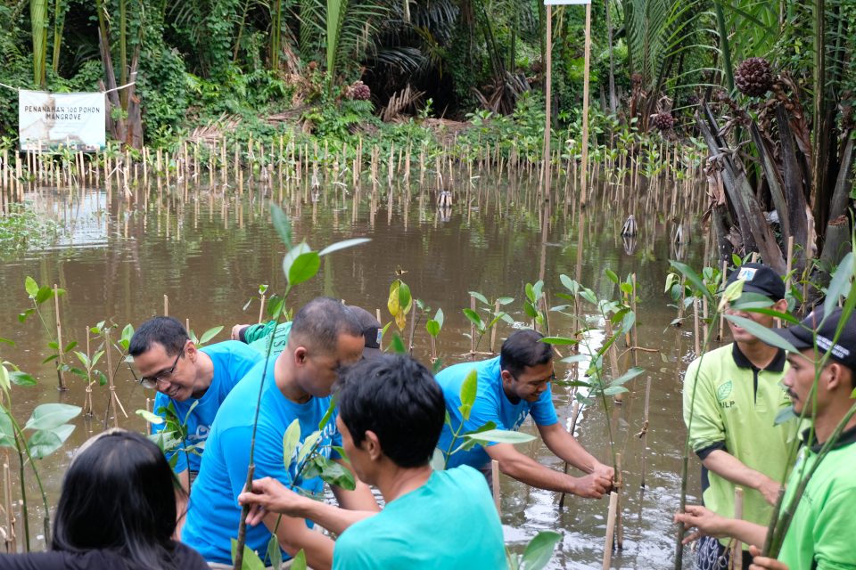 Fraser Residence Sudirman Jakarta: Mangrove Planting at Mangrove Forest, PIK Jakarta