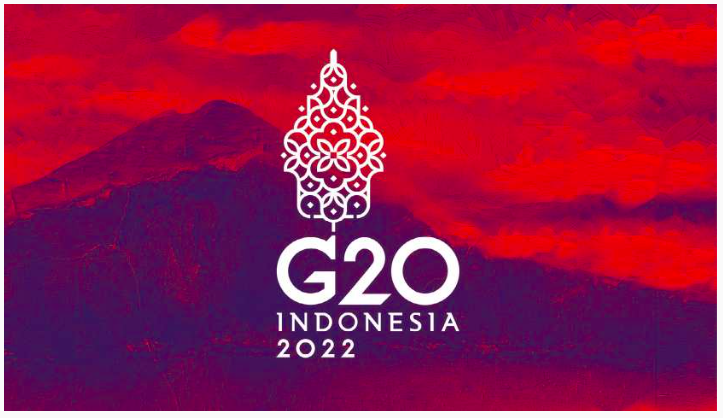 restriction activities g20 Bali