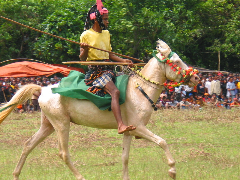 Pasola Tradition in Sumba