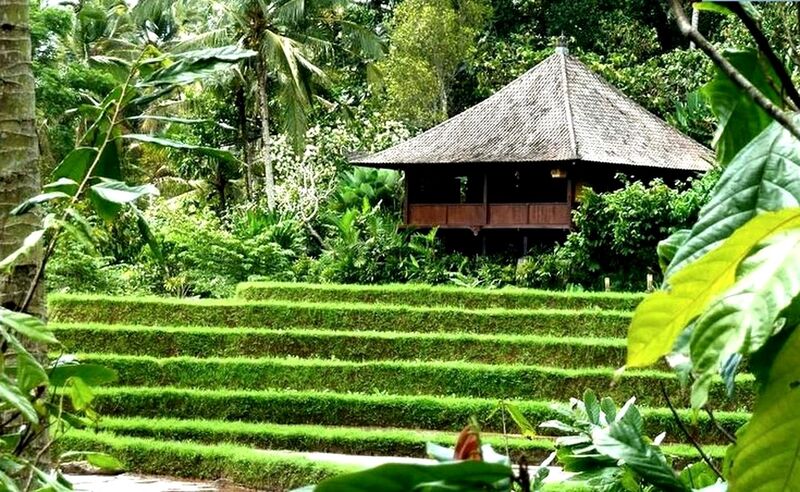 Bali Eco Stay
