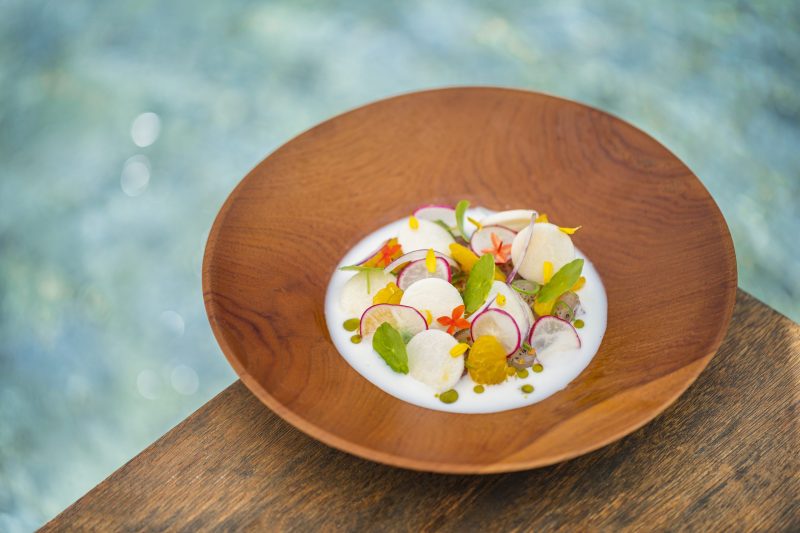 Red Snapper Ceviche - roosterfish beach club