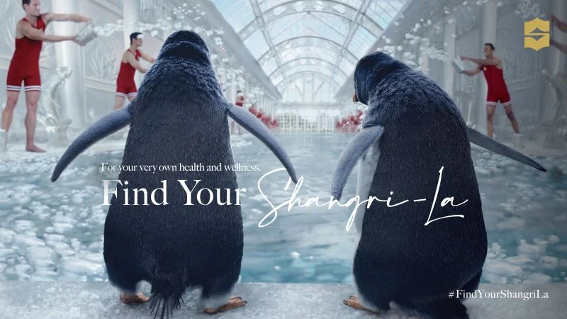 Find Your Shangri-La