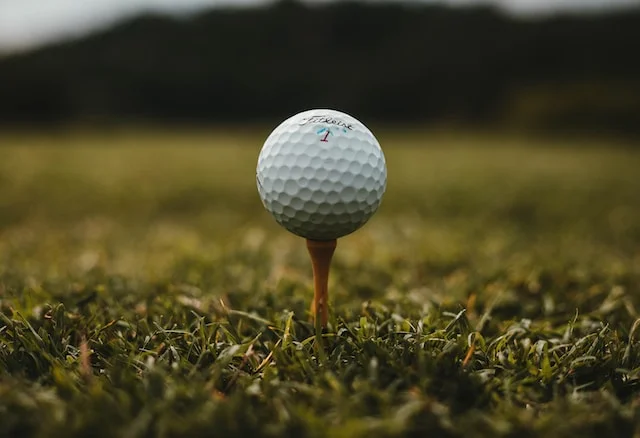 The 20th Annual Rotary Golf Tournament