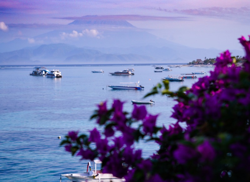 The View of Mount Agung